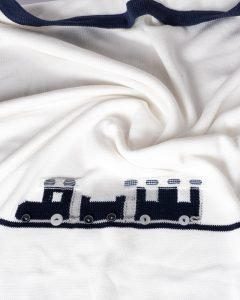 P4100947